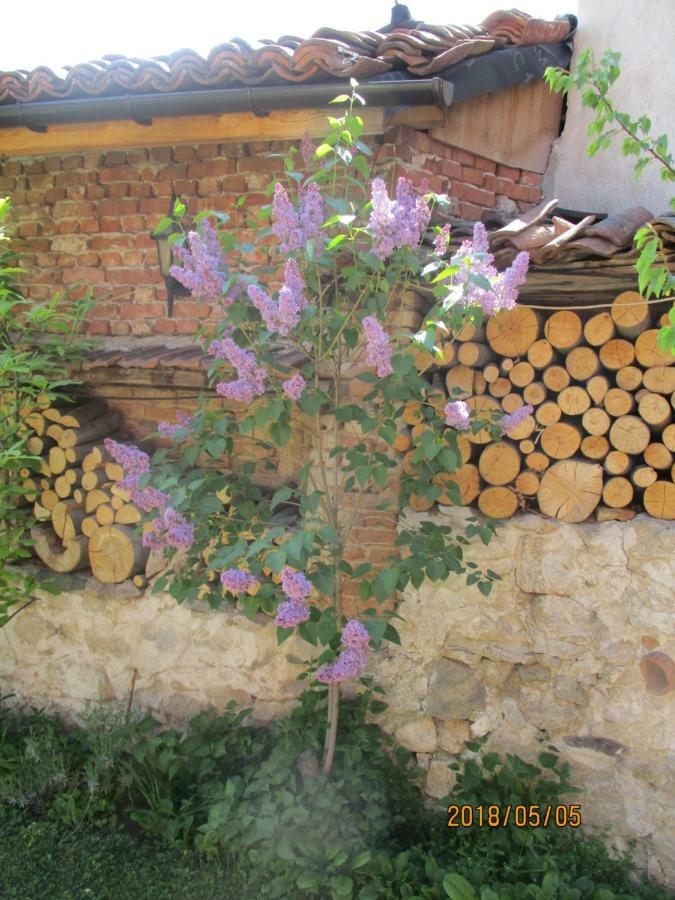 Borimechkova Kashta Hotel Koprivshtitsa Bagian luar foto